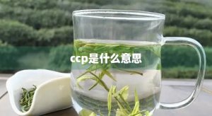 ​ccp是什么意思(食品中ccp是什么意思)