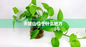 ​天姥山位于什么地方(天姥山门票多少钱一张)