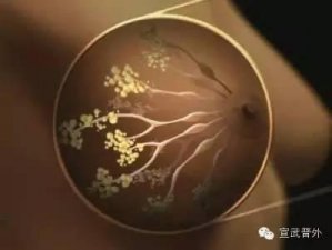 ​乳腺炎是什么意思(乳腺炎是指什么)