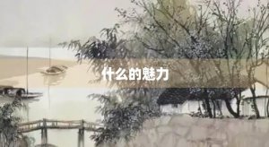 ​什么的魅力