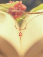 ​结婚八年是什么婚(结婚九年是什么婚)