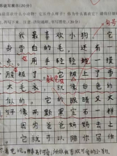 ​兔子的眼睛像什么(兔子的眼睛像什么仿写)