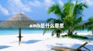 ​amb是什么意思