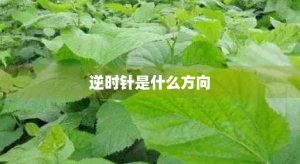 ​逆时针是什么方向(逆时针是向左还是向右旋转)