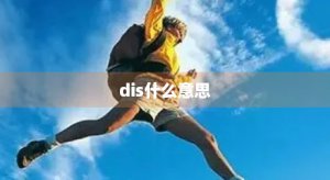 ​dis什么意思