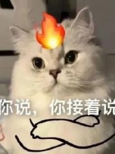 ​奇葩是什么意思