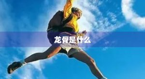 ​龙骨是什么