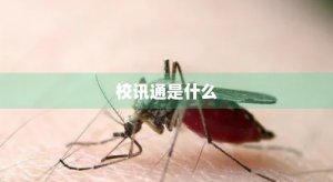 ​校讯通是什么
