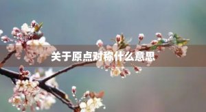 ​关于原点对称什么意思(函数关于原点对称什么意思)