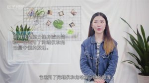 ​腕力球原理是什么