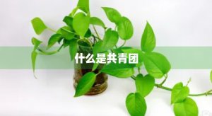 ​什么是共青团(什么是共青团立团之本)
