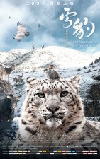 ​《雪豹和她的朋友们》首曝海报 朱亚文倾情配音