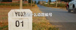 ​y是什么道路编号