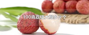 ​100克荔枝大概多少个