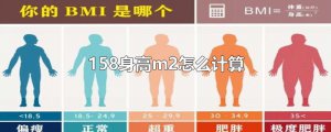 ​158身高m2怎么计算