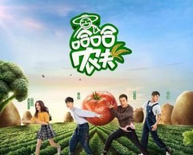 ​哈哈农夫和向往的生活有什么区别