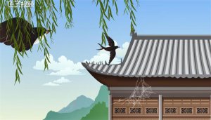​动物的尾巴有什么作用