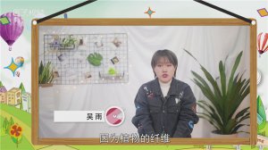 ​反刍动物有哪些