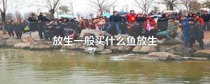 ​放生一般买什么鱼放生