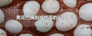​黄泥巴腌制咸鸭蛋的最佳方法