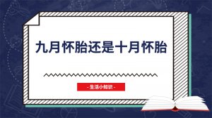 ​九月怀胎还是十月怀胎