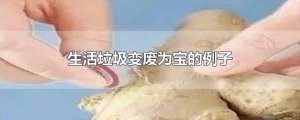​生活垃圾变废为宝的例子