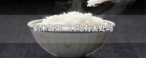 ​剩米饭第二天吃有害处吗