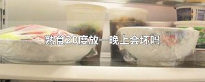 ​熟食20度放一晚上会坏吗