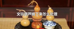 ​文玩葫芦摘下来怎么处理