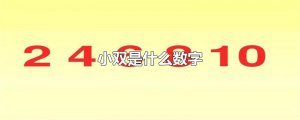 ​小双是什么数字