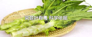 ​莴苣叶有毒 科学依据