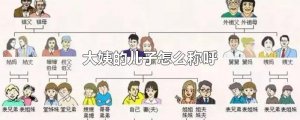 ​大姨的儿子怎么称呼