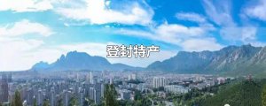 ​登封特产