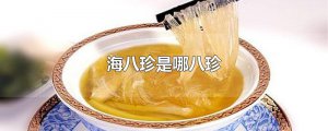 ​海八珍是哪八珍