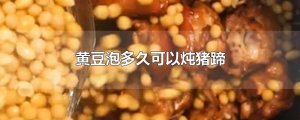 ​黄豆泡多久可以炖猪蹄