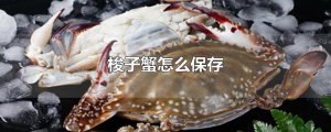 ​梭子蟹怎么保存