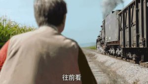 ​国产 9.5，还是「退步」了