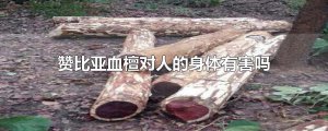 ​赞比亚血檀对人的身体有害吗