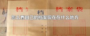 ​怎么看自己的档案现在在什么地方