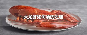 ​大龙虾如何清洗处理