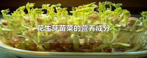 ​花生芽苗菜的营养成分