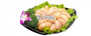 ​鸡子是啥