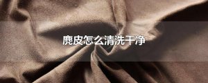 ​麂皮怎么清洗干净