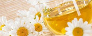 ​菊花茶怎么洗
