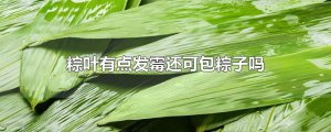 ​粽叶有点发霉还可包粽子吗