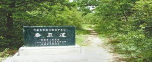​泰始皇当年修的路
