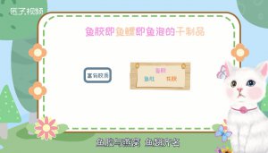 ​鱼胶是什么