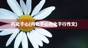 ​内化于心(内化于心外化于行作文)