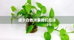 ​减少白色污染我们应该
