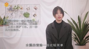 ​水藻怎么清除